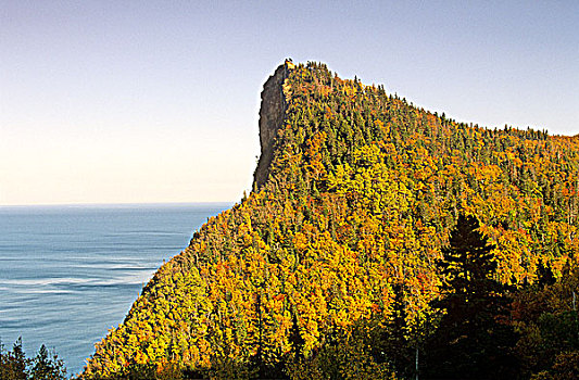 海岸线,秋天,伽斯佩,魁北克,加拿大