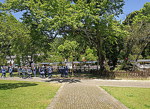 井冈山茅坪大井村枫石景观