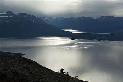 俯拍,湖,育空河,不列颠哥伦比亚省,加拿大