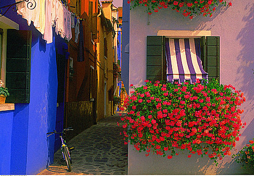 窗户,花,威尼斯泻湖,意大利