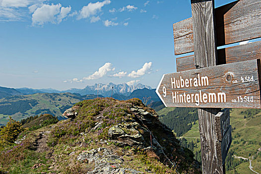 木质,标识,展示,徒步旅行,基茨比厄尔,阿尔卑斯山,萨尔茨堡,奥地利,欧洲
