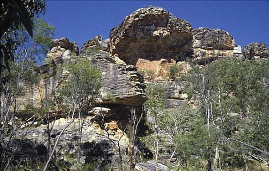岩画,区域,聋,蝰蛇,溪流,阿纳姆,陆地,澳大利亚