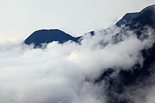 山,云海,雾