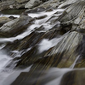 特写,水,流动,上方,石头,靠近,韦尔扎斯卡谷,洛迦诺,瑞士,地区,提契诺河