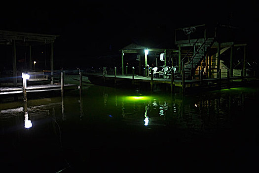 码头,夜晚,支流,翠绿色,海岸,佛罗里达,美国