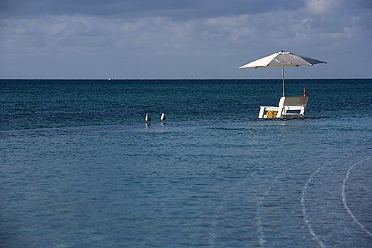沙滩椅,大巴哈马岛,岛屿,巴哈马