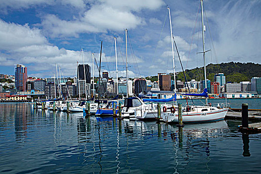 码头,中央商务区,惠灵顿,北岛,新西兰