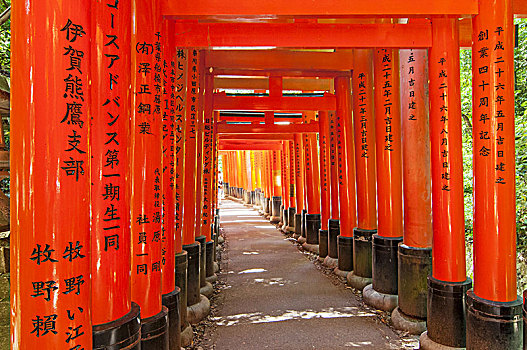 大门,伏见,稻成,神祠,京都,日本