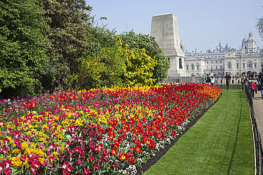 春花,公园,伦敦,英格兰