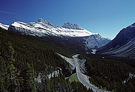 冰原大道,93号公路,景色,道路,艾伯塔省,加拿大,班芙国家公园,碧玉国家公园