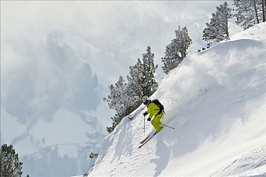 大雪,滑雪者,自由滑行者,提洛尔,奥地利,欧洲