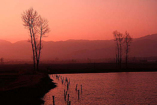 夕阳下湖边树木的剪影