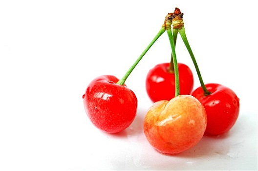 红色,樱桃,水果,白色背景
