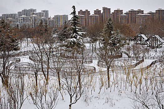 河北省石家庄市公园雪景