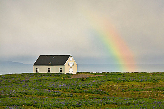 彩虹,靠近,北方,冰岛