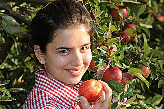 年轻,女人,红色,苹果,树