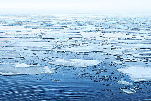 冬天,海景,漂浮,冰,碎片,安静,寒冷,水,海湾,芬兰,俄罗斯