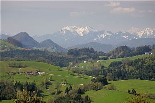 农舍,积雪,山峦,阿尔卑斯山,景色,道路,下奥地利州