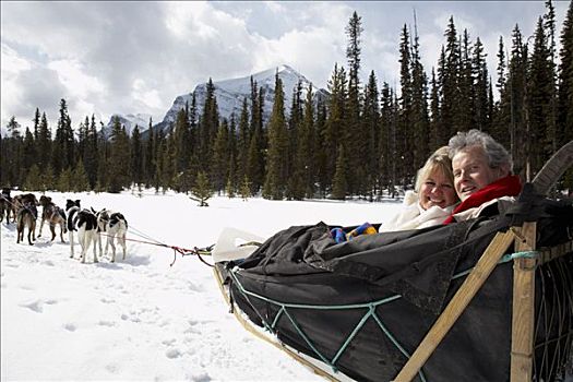 伴侣,狗拉雪橇,落基山脉,艾伯塔省,加拿大