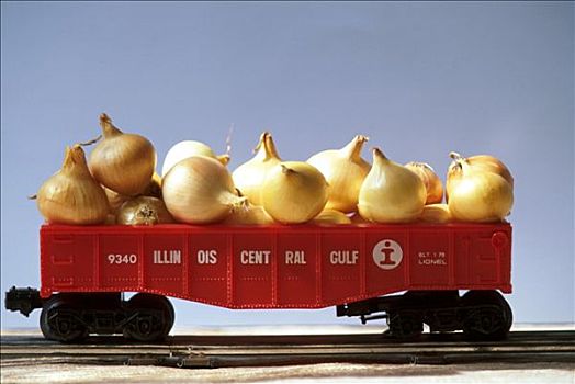 洋葱,玩具火车