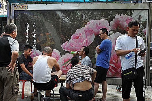programs是什么意思