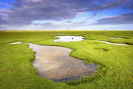 盐沼,圣米歇尔山,背景,诺曼底,法国