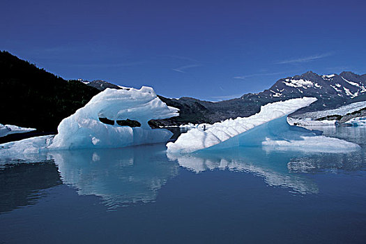北美,美国,阿拉斯加,威廉王子湾,冰山,靠近,冰河