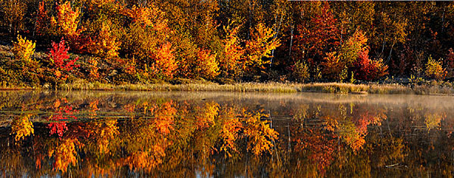 彩色,反射,海狸塘,晨雾,萨德伯里,安大略省,加拿大