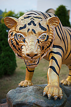 虎,雕塑,佛教寺庙,清莱,泰国