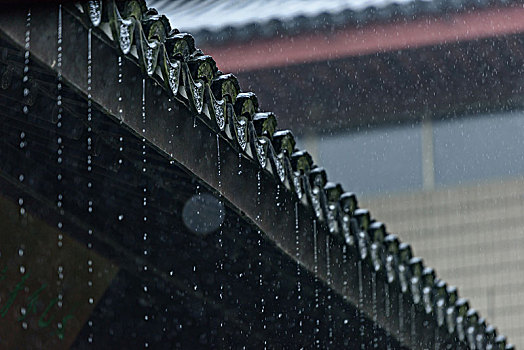 屋檐,雨线,大雨,文澜阁,杭州