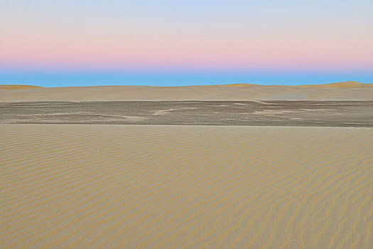沙丘,黄昏,利比亚沙漠,撒哈拉沙漠,埃及,非洲