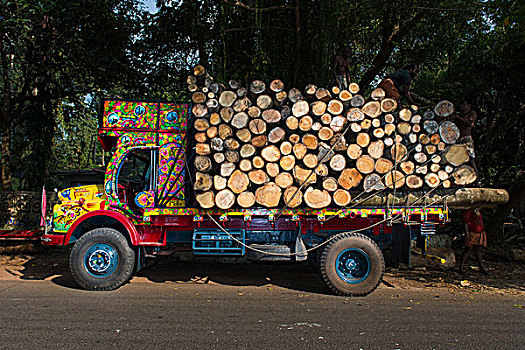 明亮,涂绘,卡车,装载,原木,靠近,喀拉拉,印度,亚洲
