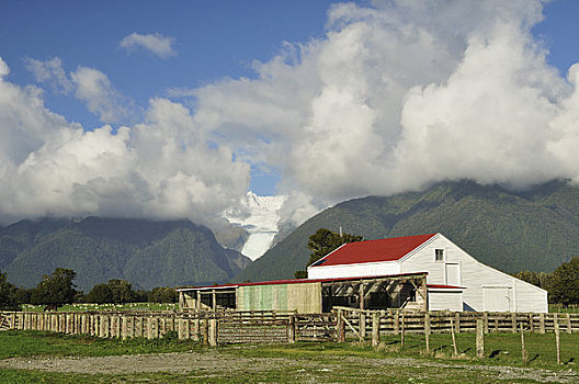 农场,正面,福克斯冰川,烹饪,西海岸,南岛,新西兰