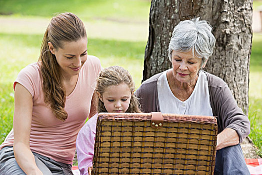 祖母,母女,野餐篮,公园