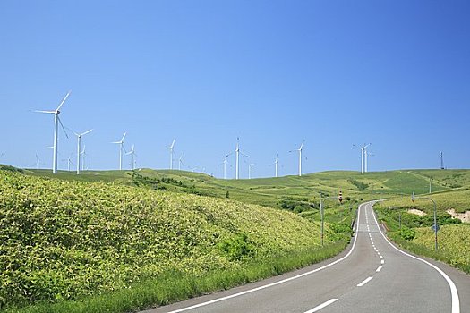 毛豆,风电站,道路