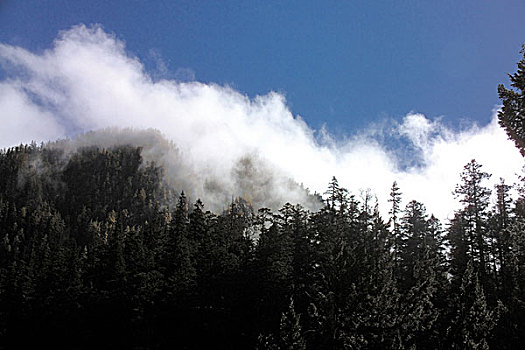 自然,风景