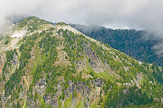 风景,铜,山脊,小路,北瀑布国家公园,喀斯喀特山脉,华盛顿