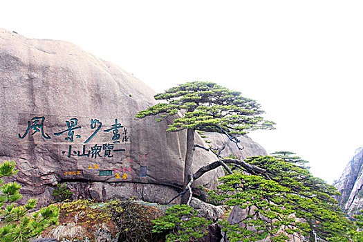 黄山,迎客松,壮观,名胜,风采,0008