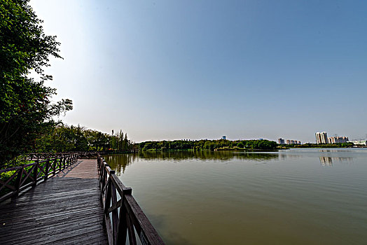海珠湖