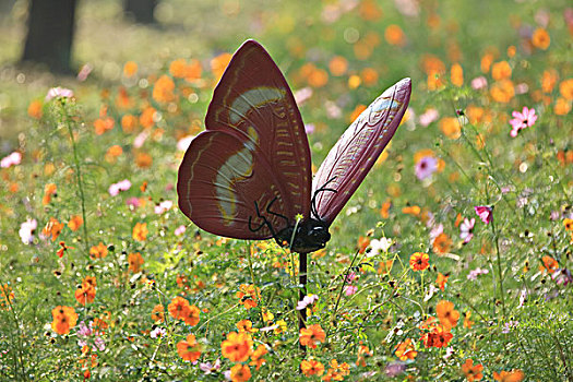 硫华菊,蝴蝶雕塑