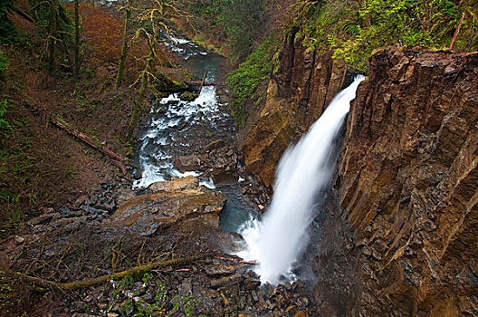 瀑布,树林,溪流,俄勒冈,美国