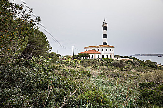 灯塔,马略卡岛,巴利阿里群岛,西班牙