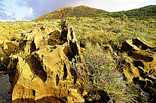 新加勒多尼亚,风景,靠近,石头