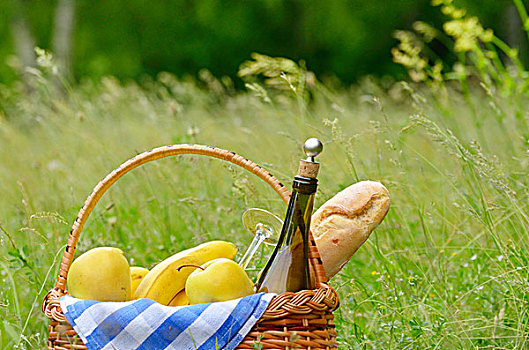 野餐篮,水果,葡萄酒,面包,草地