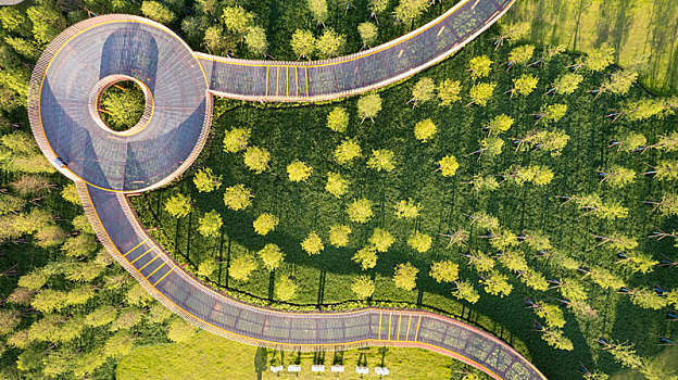 公园或园林栈桥的平面造型