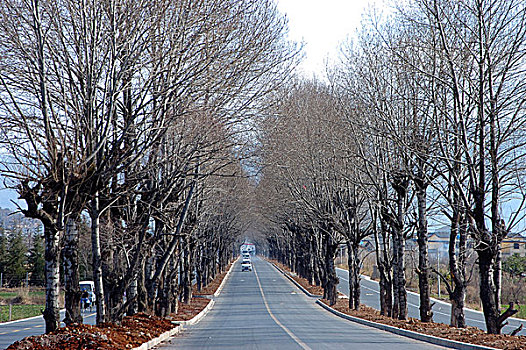 路线,丽江,城市,乡村,冬天,云南,中国,一月,2007年