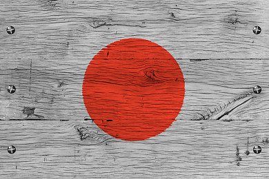 日本橡木图片