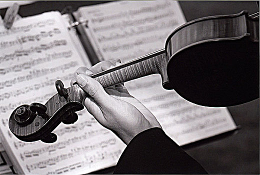 黑白,小提琴,乐谱