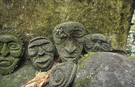 石头,脸,岛屿,瓦努阿图