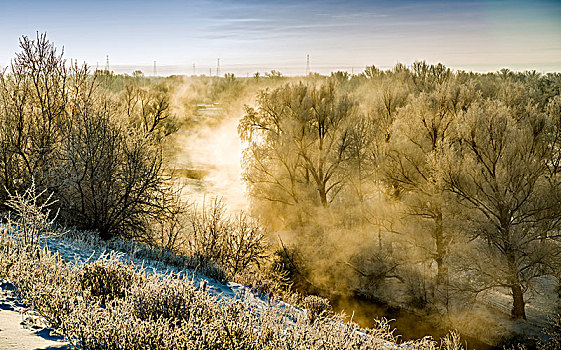 新疆,布尔津,冬日,雪景,清晨,雾松